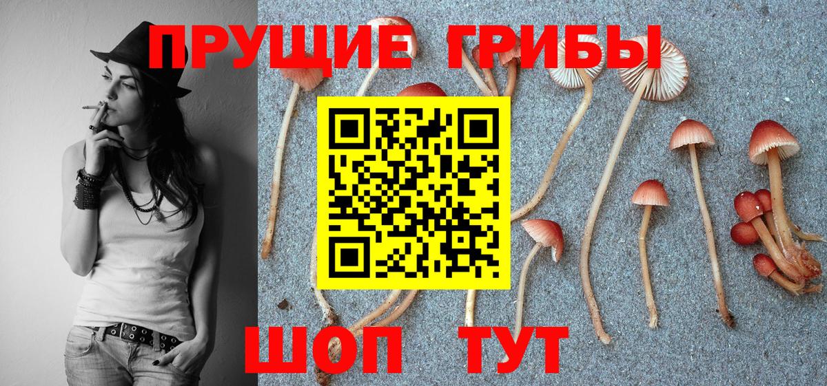 Псилоцибиновые грибы мухоморы  Псилоцибиновые грибы мицелий  Орехово-Зуево  Вход с VPN 